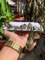 404 Carat Swat Emerald Specimen Lot – Monumental Crystal for Collectors - Image 13