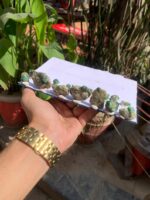 404 Carat Swat Emerald Specimen Lot – Monumental Crystal for Collectors - Image 14