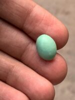 Afghan Turquoise: A 5.25 ct Cabochon with Elegant Presence - Image 4