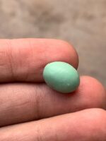 Afghan Turquoise: A 5.25 ct Cabochon with Elegant Presence - Image 5