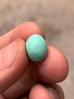 Afghan Turquoise Cabochon: A 4.70 ct Gem of Versatile Beauty - Image 8