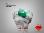 27 Carat Emerald Specimen from Swat – Robust and Well-Balanced Himalayan Crystal