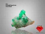 6ct Swat Emerald Specimen  (15.04 × 11.45 × 6.87 mm)