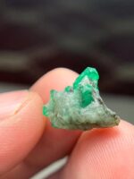 6ct Swat Emerald Specimen  (15.04 × 11.45 × 6.87 mm) - Image 11