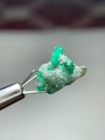 6ct Swat Emerald Specimen  (15.04 × 11.45 × 6.87 mm) - Image 3