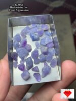 42.60 ct Afghan Hackmanite Lot — A Fascinating Collector’s Selection