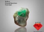 A Compact Treasure of Swat Valley: The 13.29-Carat Emerald Specimen