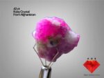 42 ct Afghan Ruby Crystal – Balanced Compact Formation with Strong Gem Potential