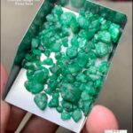 65.01 ct Swat Emerald Rough Lot – Collector & Cutting Grade