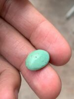 Stunning 5.20 ct Afghan Turquoise Cabochon – Perfect for Custom Jewelry - Image 4