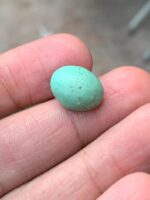 Stunning 5.20 ct Afghan Turquoise Cabochon – Perfect for Custom Jewelry - Image 6