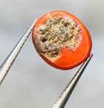 2.70ct Natural Coral Stone: Elegant Jewelry Design Gem - Image 6