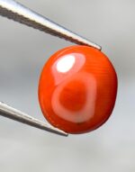 2.70ct Natural Coral Stone: Elegant Jewelry Design Gem - Image 8