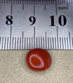 2.70ct Natural Coral Stone: Elegant Jewelry Design Gem - Image 10