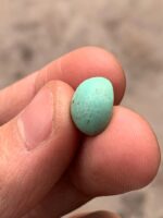 Elegant Afghan Turquoise: A 4.65 ct Cabochon Gem - Image 10