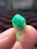 12.50 ct Swat Emerald Specimen – Unique Natural Form - Image 3