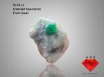 Dazzling 12.55-Carat Emerald Specimens: A Gemstone to Treasure