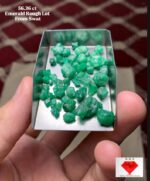 56.36 Carat Swat Emerald Rough Lot – Natural Green Gemstone from Pakistan (14.80 × 9.27 × 6.80 mm)