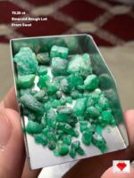 73.25 Carat Swat Emerald Rough Lot – Exceptional Mass with Raw Natural Beauty