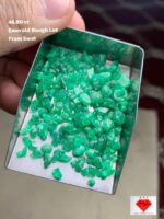 46.80 Carat Swat Valley Emerald Rough Lot – Raw and Authentic