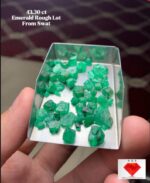 43.30 ct Natural Emerald Rough Lot – Swat Origin