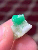 16.78 ct Swat Emerald: A Compact Crystal With Deep, Focused Beauty - Image 10
