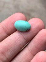Petite Gem, Big Heart — 6.40 ct Afghan Turquoise Cabochon - Image 2