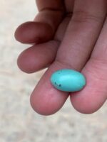 Petite Gem, Big Heart — 6.40 ct Afghan Turquoise Cabochon - Image 3
