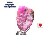 Afghan Ruby Crystal – 5.630ct Deep Red Gemstone, Untreated