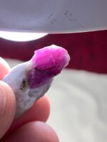 Crimson Legacy 36.20ct Afghan Ruby Specimen with Impressive Length & Color - Image 3