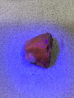 5.30ct Afghanite Crystal – Rare Blue Elegance - Image 14