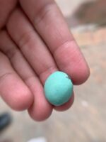 Afghan Turquoise Showcase: A 14.35ct Cabochon Gem - Image 9