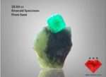23.50 Carat Swat Emerald Specimen – Subtle Beauty in Miniature