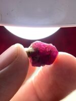 A Gem of Grace: 11.45 Carat Afghan Ruby Specimen - Image 2