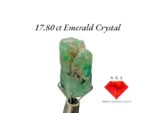 17.80 Carat Natural Emerald Crystal – A Gem of Afghan Beauty