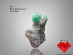 Majestic Swat Emerald: 62 Carat Specimen