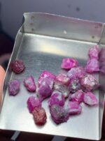 46.55ct Afghan Ruby Rough Lot – Natural Uncut Rubies (11.62 × 8.77 × 5.24 mm) - Image 4