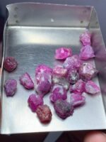 46.55ct Afghan Ruby Rough Lot – Natural Uncut Rubies (11.62 × 8.77 × 5.24 mm) - Image 5