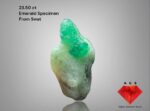 Gorgeous 23.50-Carat Emerald Specimen – Unique Collector’s Gem