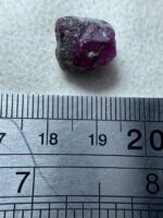 The 12.35 ct Afghan Ruby Specimen: A Small Gem with Big Potential - Image 2