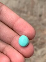 Petite Afghan Turquoise Cabochon – 5.20 ct - Image 2