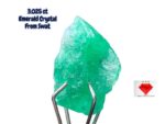 3.025ct Swat Emerald Crystal – Natural Elegance in Raw Form (11.90 x 7.83 x 5.92mm)