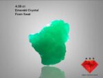 4.36 ct Natural Emerald Crystal from Swat Valley – Compact Elegance with Solid Form