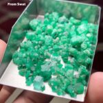 53.40 Carat Swat Emerald Rough Lot: Slim Crystals Designed for Precision Cutting