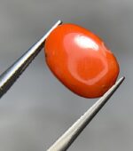 4ct Natural Coral Gemstone: Jewelry Making Stone (12.67mm) - Image 3
