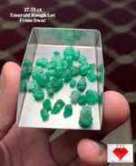 37.55 ct Natural Emerald Rough Lot – Swat Valley
