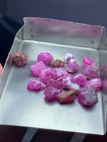 43.45ct Afghan Ruby Rough Lot – Natural Untreated Gemstones (8.89 × 8.43 × 4.65 mm) - Image 2