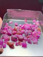 Unearthed Beauty: 39.20ct Afghan Ruby Rough Lot - Image 2