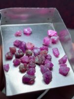 36.95ct Afghan Ruby Rough Lot: Raw Elegance in Every Facet - Image 3