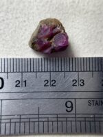 Rare Treasure: 11.10 ct Afghan Ruby Specimen Unveiled - Image 8